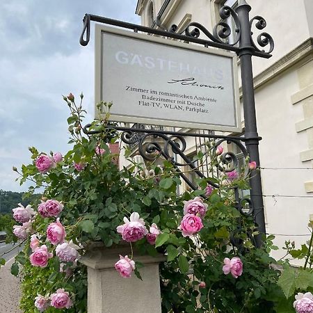 Gaestehaus Schoenitz Meißen Kültér fotó